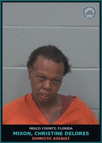 CCW arrest card for MIXON, CHRISTINE DELORES in Pasco County: DOMESTIC ASSAULT