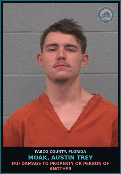 CCW arrest card for MOAK, AUSTIN TREY in Pasco County: DUI DAMAGE TO PROPERTY OR PERSON OF ANOTHER