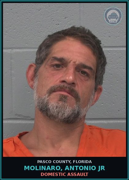 CCW arrest card for MOLINARO, ANTONIO JR in Pasco County: DOMESTIC ASSAULT
