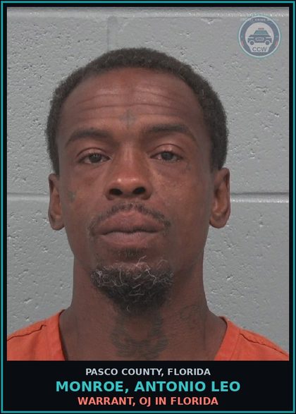 CCW arrest card for MONROE, ANTONIO LEO in Pasco County: WARRANT, OJ IN FLORIDA
