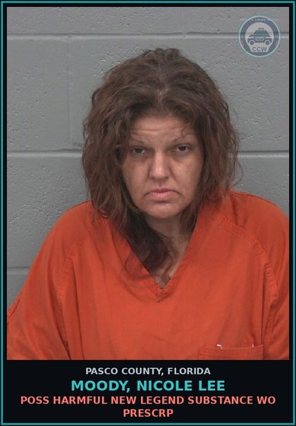 CCW arrest card for MOODY, NICOLE LEE in Pasco County: TRAFFIC Fent/Fent ANALOGUES 4 GRAMS+