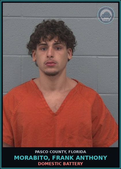 CCW arrest card for MORABITO, FRANK ANTHONY in Pasco County: DOMESTIC BATTERY
