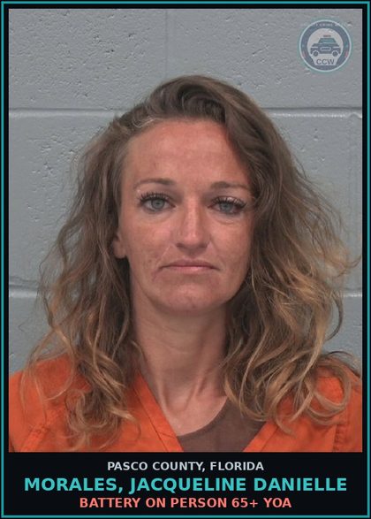 CCW arrest card for MORALES, JACQUELINE DANIELLE in Pasco County: BATTERY ON PERSON 65+ YOA