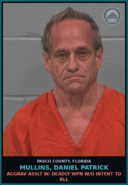 CCW arrest card for MULLINS, DANIEL PATRICK in Pasco County: AGGRAV ASSLT W/ DEADLY WPN W/O INTENT TO KILL
