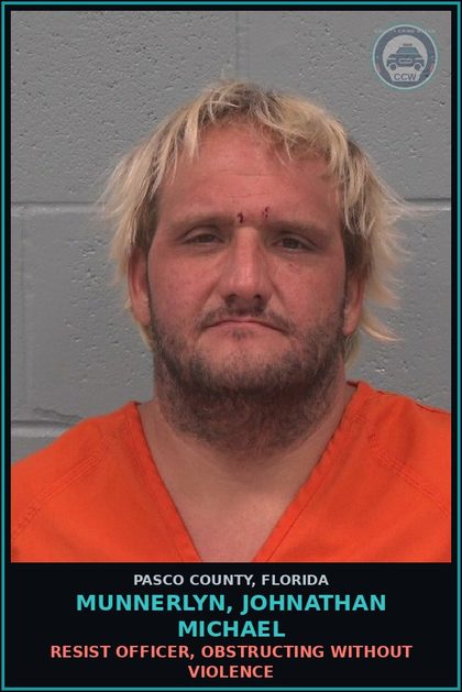 CCW arrest card for MUNNERLYN, JOHNATHAN MICHAEL in Pasco County: CRIMINAL MISCHIEF DAMAGE PROPERTY $1000+