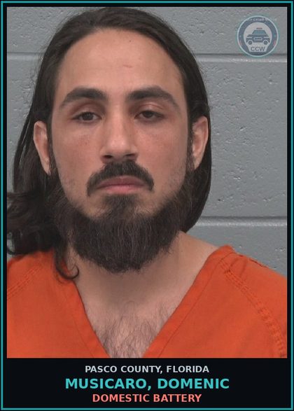 CCW arrest card for MUSICARO, DOMENIC in Pasco County: DOMESTIC BATTERY