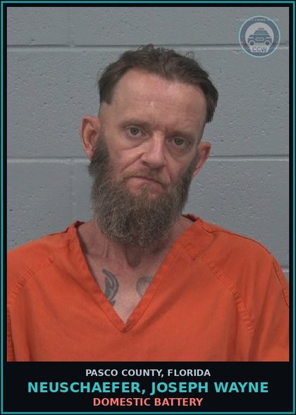 CCW arrest card for NEUSCHAEFER, JOSEPH WAYNE in Pasco County: DOMESTIC BATTERY