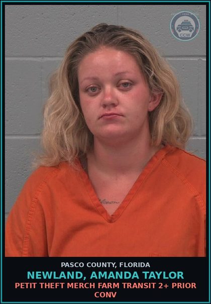CCW arrest card for NEWLAND, AMANDA TAYLOR in Pasco County: PETIT THEFT MERCH FARM TRANSIT 2+ PRIOR CONV