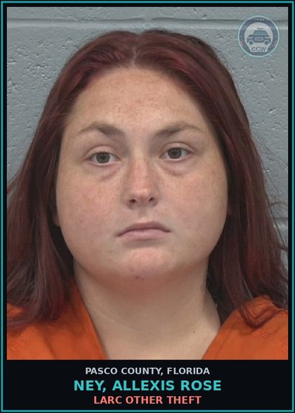 CCW arrest card for NEY, ALLEXIS ROSE in Pasco County: LARC OTHER THEFT