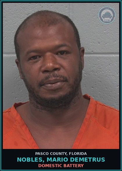 CCW arrest card for NOBLES, MARIO DEMETRUS in Pasco County: DOMESTIC BATTERY