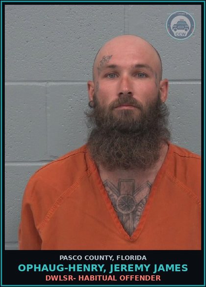CCW arrest card for OPHAUG-HENRY, JEREMY JAMES in Pasco County: DWLSR- HABITUAL OFFENDER