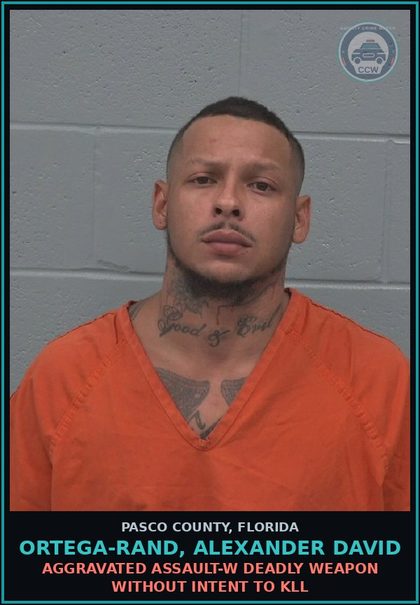 CCW arrest card for ORTEGA-RAND, ALEXANDER DAVID in Pasco County: AGGRAVATED ASSAULT-W DEADLY WEAPON WITHOUT INTENT TO KILL