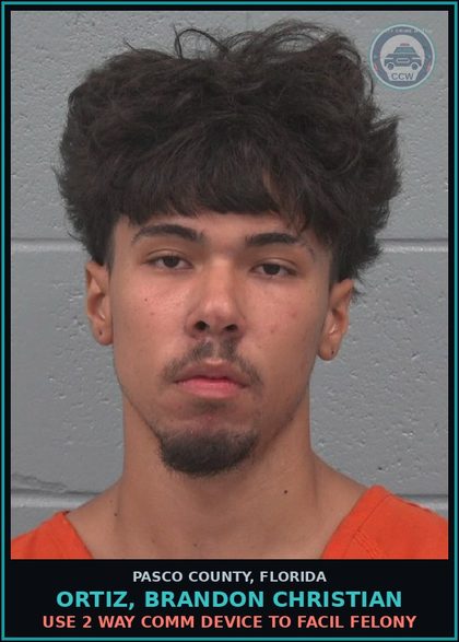 CCW arrest card for ORTIZ, BRANDON CHRISTIAN in Pasco County: POSSESS CONTROL VIEW SOLICIT DEPICT chld PORN