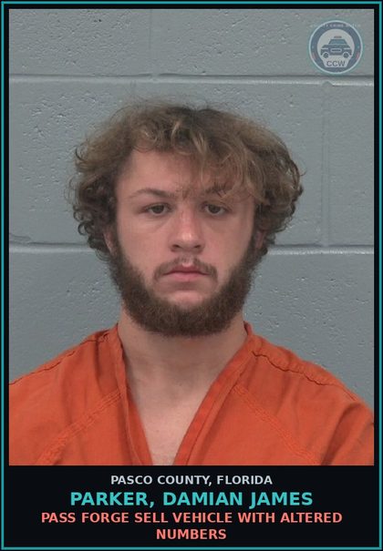 CCW arrest card for PARKER, DAMIAN JAMES in Pasco County: PASS FORGE SELL VEHICLE WITH ALTERED NUMBERS