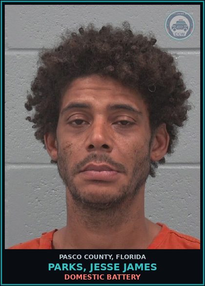 CCW arrest card for PARKS, JESSE JAMES in Pasco County: DOMESTIC BATTERY