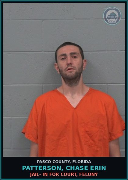 CCW arrest card for PATTERSON, CHASE ERIN in Pasco County: JAIL- IN FOR COURT, FELONY