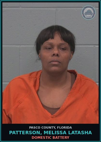 CCW arrest card for PATTERSON, MELISSA LATASHA in Pasco County: DOMESTIC BATTERY