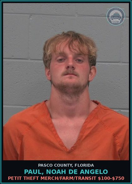 CCW arrest card for PAUL, NOAH DE ANGELO in Pasco County: PETIT THEFT MERCH/FARM/TRANSIT $100-$750
