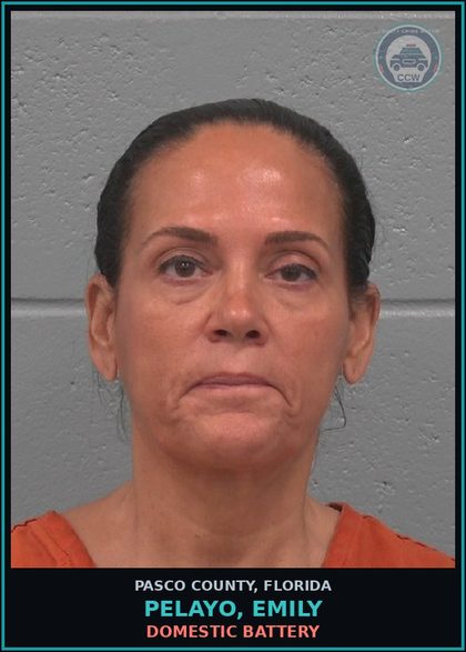 CCW arrest card for PELAYO, EMILY in Pasco County: DOMESTIC BATTERY
