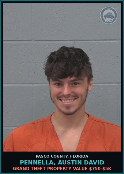 CCW arrest card for PENNELLA, AUSTIN DAVID in Pasco County: GRAND THEFT PROPERTY VALUE $750-$5K
