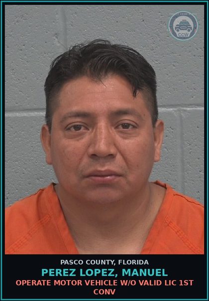 CCW arrest card for PEREZ LOPEZ, MANUEL in Pasco County: OPERATE MOTOR VEHICLE W/O VALID LIC 1ST CONV