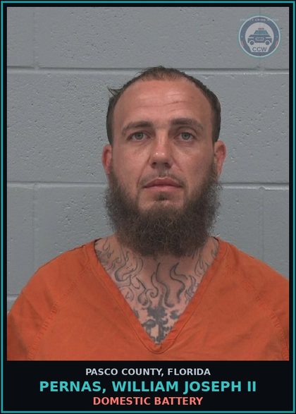 CCW arrest card for PERNAS, WILLIAM JOSEPH II in Pasco County: DOMESTIC BATTERY