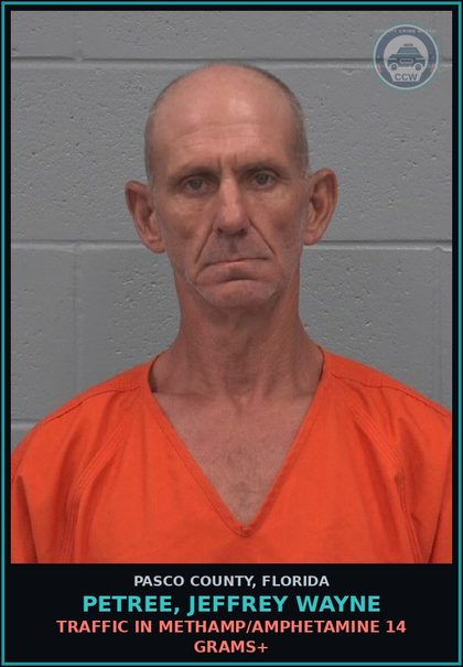 CCW arrest card for PETREE, JEFFREY WAYNE in Pasco County: TRAFFIC IN METH/AMPHETAMINE 14 GRAMS+