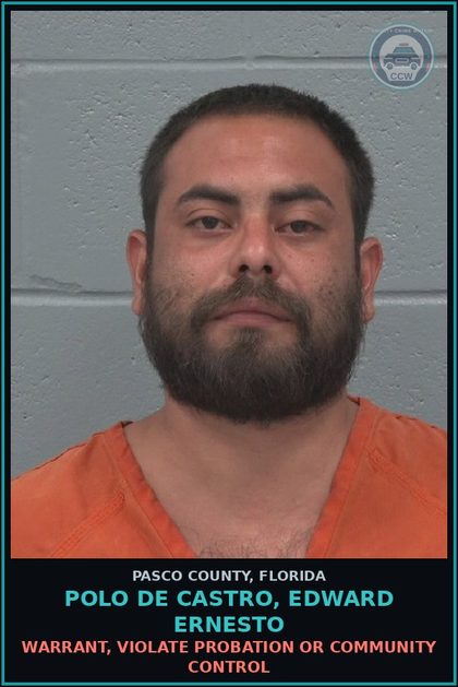 CCW arrest card for POLO DE CASTRO, EDWARD ERNESTO in Pasco County: WARRANT, VIOLATE PROBATION OR COMMUNITY CONTROL