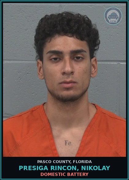 CCW arrest card for PRESIGA RINCON, NIKOLAY in Pasco County: DOMESTIC BATTERY
