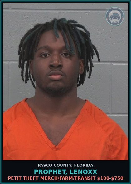 CCW arrest card for PROPHET, LENOXX in Pasco County: PETIT THEFT MERCH/FARM/TRANSIT $100-$750