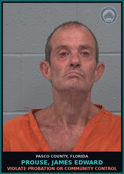 CCW arrest card for PROUSE, JAMES EDWARD in Pasco County: VIOLATE PROBATION OR COMMUNITY CONTROL