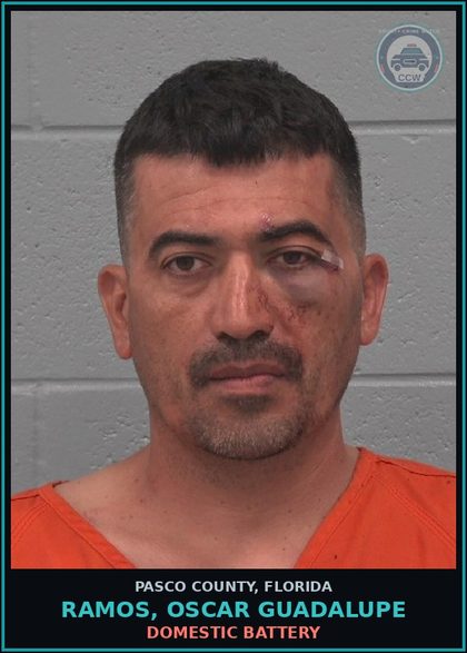 CCW arrest card for RAMOS, OSCAR GUADALUPE in Pasco County: DOMESTIC BATTERY