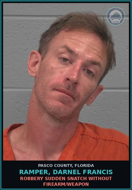 CCW arrest card for RAMPER, DARNEL FRANCIS in Pasco County: ROBBERY SUDDEN SNATCH WITHOUT FIREARM/WEAPON