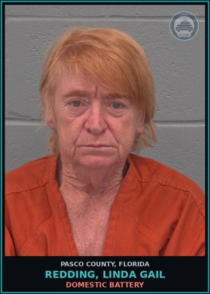 CCW arrest card for REDDING, LINDA GAIL in Pasco County: DOMESTIC BATTERY