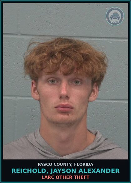 CCW arrest card for REICHOLD, JAYSON ALEXANDER in Pasco County: LARC OTHER THEFT