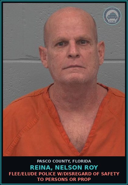 CCW arrest card for REINA, NELSON ROY in Pasco County: FLEE/ELUDE POLICE W/DISREGARD OF SAFETY TO PERSONS OR PROP