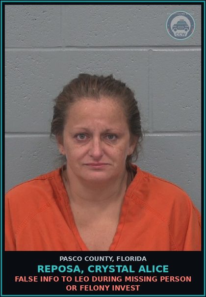 CCW arrest card for REPOSA, CRYSTAL ALICE in Pasco County: TAMPER WITN WITHHOLD TESTIM/INFO FEL 3RD PROC