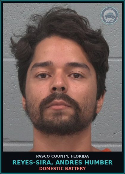 CCW arrest card for REYES-SIRA, ANDRES HUMBER in Pasco County: DOMESTIC BATTERY