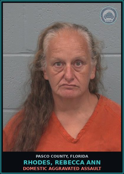 CCW arrest card for RHODES, REBECCA ANN in Pasco County: DOMESTIC AGGRAVATED ASSAULT