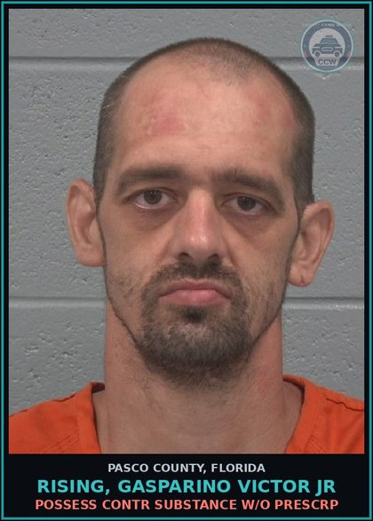 CCW arrest card for RISING, GASPARINO VICTOR JR in Pasco County: POSSESS contr substance W/O PRESCRIPTION