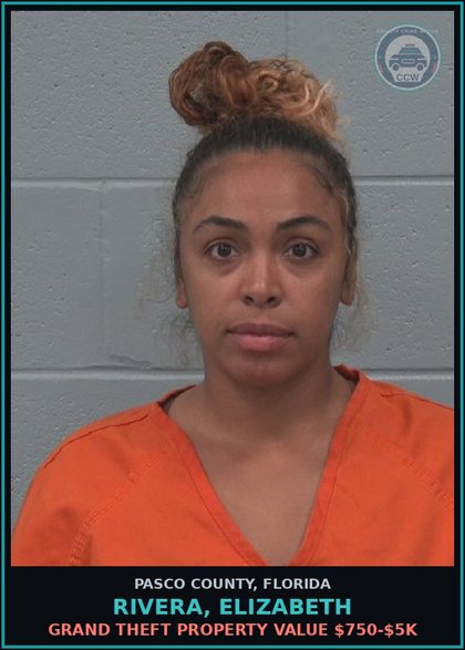 CCW arrest card for RIVERA, ELIZABETH in Pasco County: GRAND THEFT PROPERTY VALUE $750-$5K