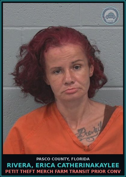 CCW arrest card for RIVERA, ERICA CATHERINAKAYLEE in Pasco County: PETIT THEFT MERCH FARM TRANSIT PRIOR CONV