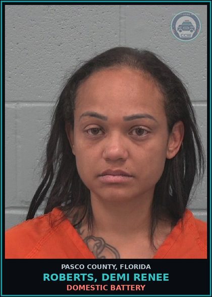 CCW arrest card for ROBERTS, DEMI RENEE in Pasco County: DOMESTIC BATTERY