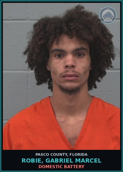 CCW arrest card for ROBIE, GABRIEL MARCEL in Pasco County: DOMESTIC BATTERY