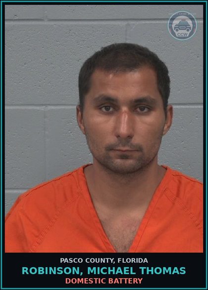 CCW arrest card for ROBINSON, MICHAEL THOMAS in Pasco County: DOMESTIC BATTERY