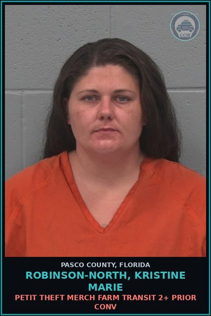 CCW arrest card for ROBINSON-NORTH, KRISTINE MARIE in Pasco County: PETIT THEFT MERCH FARM TRANSIT 2+ PRIOR CONV