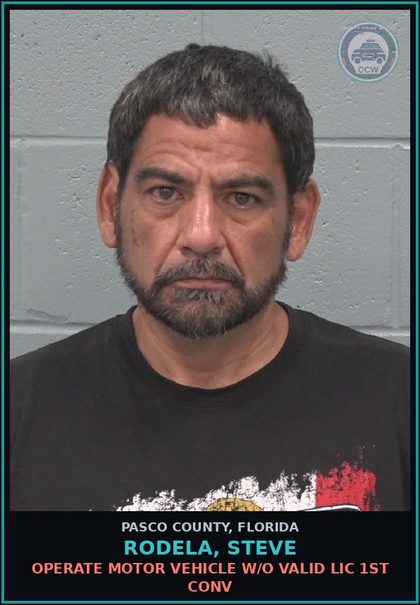 CCW arrest card for RODELA, STEVE in Pasco County: OPERATE MOTOR VEHICLE W/O VALID LIC 1ST CONV