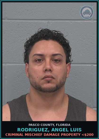 CCW arrest card for RODRIGUEZ, ANGEL LUIS in Pasco County: CRIMINAL MISCHIEF DAMAGE PROPERTY <$200