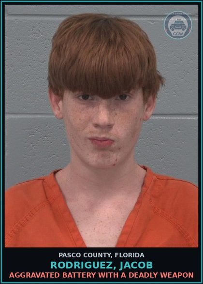 CCW arrest card for RODRIGUEZ, JACOB in Pasco County: AGGRAVATED BATTERY WITH A DEADLY WEAPON