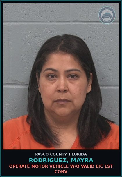 CCW arrest card for RODRIGUEZ, MAYRA in Pasco County: OPERATE MOTOR VEHICLE W/O VALID LIC 1ST CONV